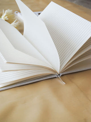 Gond Journal | Tiger