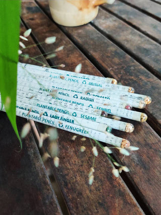 Recycled Newspaper Plantable Seed color Pencils -Pack of 20 GreenFootPrint