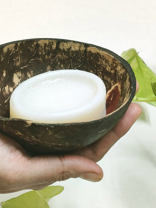 Coconut Shell Soap Dish GreenFootPrint