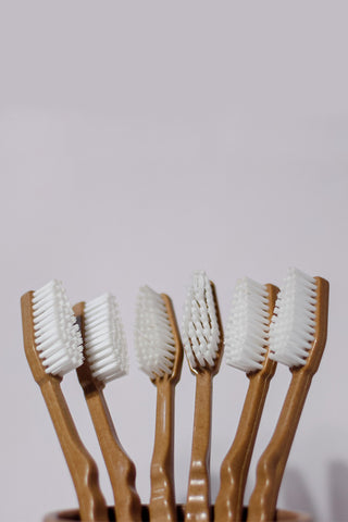 Pack of 6 Himalayan Pine Needles Toothbrush Cream Agro Composites