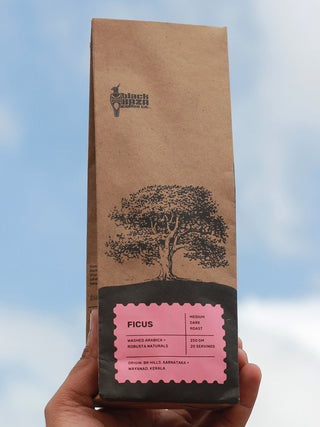 Ficus Black Baza Coffee Co.