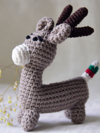 Reindeer Gray White Brown Himalayan Blooms India