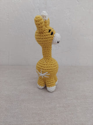 Giraffe Yellow White Black Himalayan Blooms India