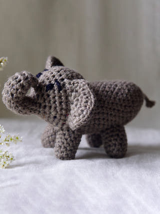 Elephant Gray Black Himalayan Blooms India