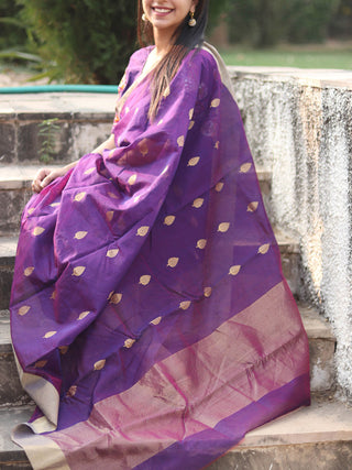 Chanderi Saree Purple With Blouse Pce Digikargha