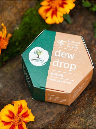 Dew Drop Honey Lip Balm by Last Forest sold by Flourish