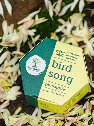  Bird Song Pineapple Lip Balm by Last Forest sold by Flourish