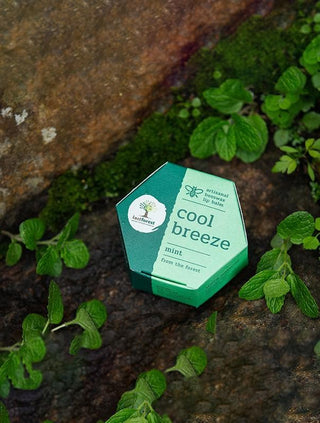  Mint Lip Balm by Last Forest sold by Flourish