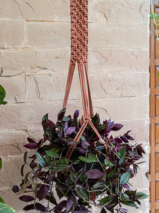 Classic Wide Hand-Knotted Plant Hanger One 'O' Eight Knots