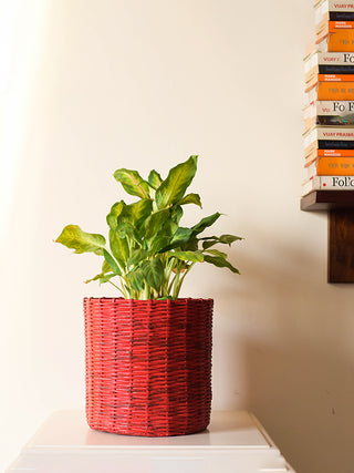 Paper Weaved Planter Red Paperwings
