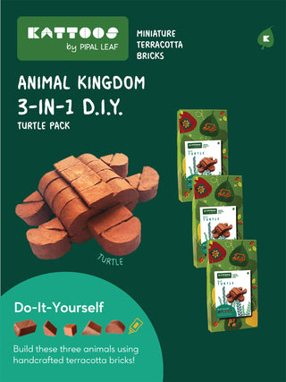 Animal Kingdom 3 In 1 D.I.Y. Turtle Pack Kattoos By Pipal Leaf