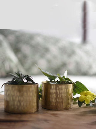  Handmade Cup Planters by P-Tal sold by Flourish