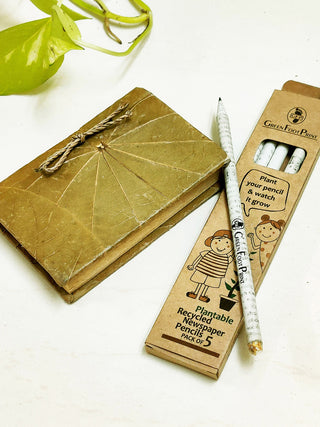Plantable Recycled News Paper Seed Pencils Set of 20 Green Footprint