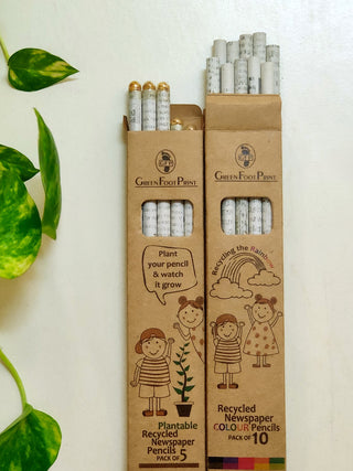 Combo Recycled News paper Colour pencils Pack of 10 and Plantable Seed pencils Pack of 10 Green Footprint