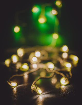 Handmade LED String Lights Green Lily Bougainvillea Samoolam