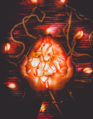 Handmade LED String Lights Orange Lily Bougainvillea Samoolam