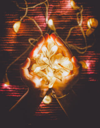 Handmade LED String Lights Yellow Lily Bougainvillea Samoolam
