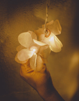 Samoolam Handmade Home Decor LED String Lights ~ Lilac Rose Samoolam