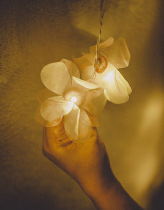 Samoolam Handmade Home Decor LED String Lights ~ Orange Rose Samoolam
