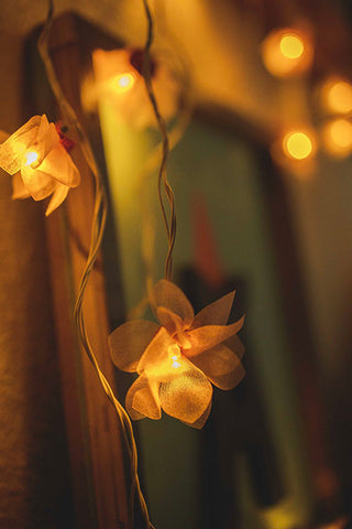 Handmade LED String Lights Orange Petals with Hearts Samoolam