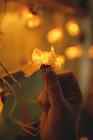 Handmade LED String Lights Orange Petals with Hearts Samoolam