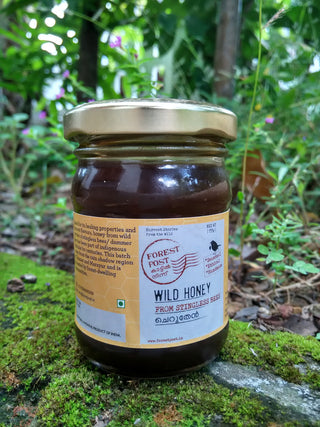 Stingless bee honey Forest Post
