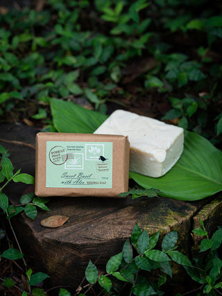 Sweet basil with aloe beeswax soap Forest Post
